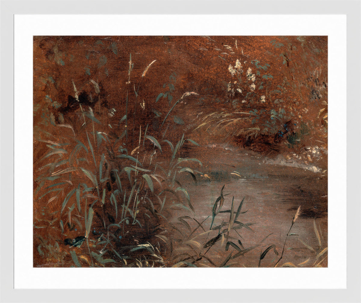 John Constable Print, Rushes by a pool (ca in a white frame