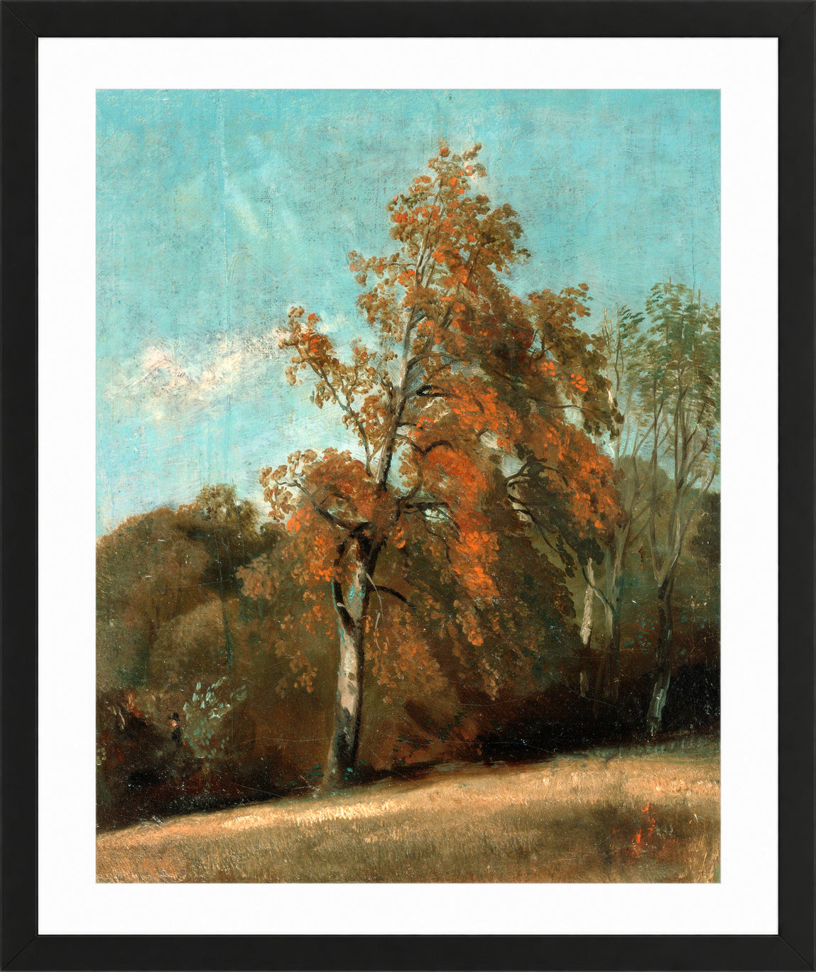 John Constable Print, Study of an Ash Tree (1801-1803) in a black frame