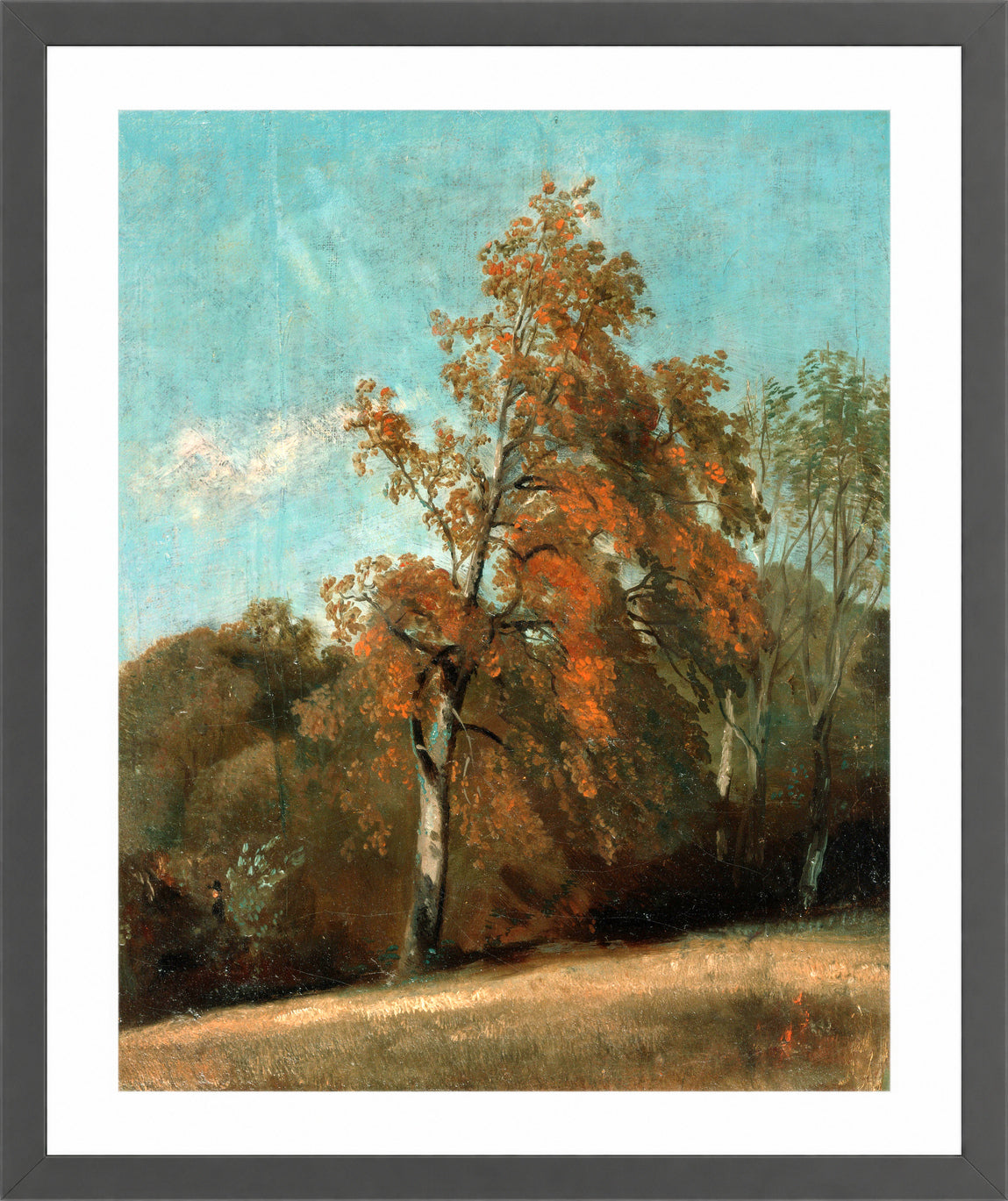 John Constable Print, Study of an Ash Tree (1801-1803) in a dark grey frame