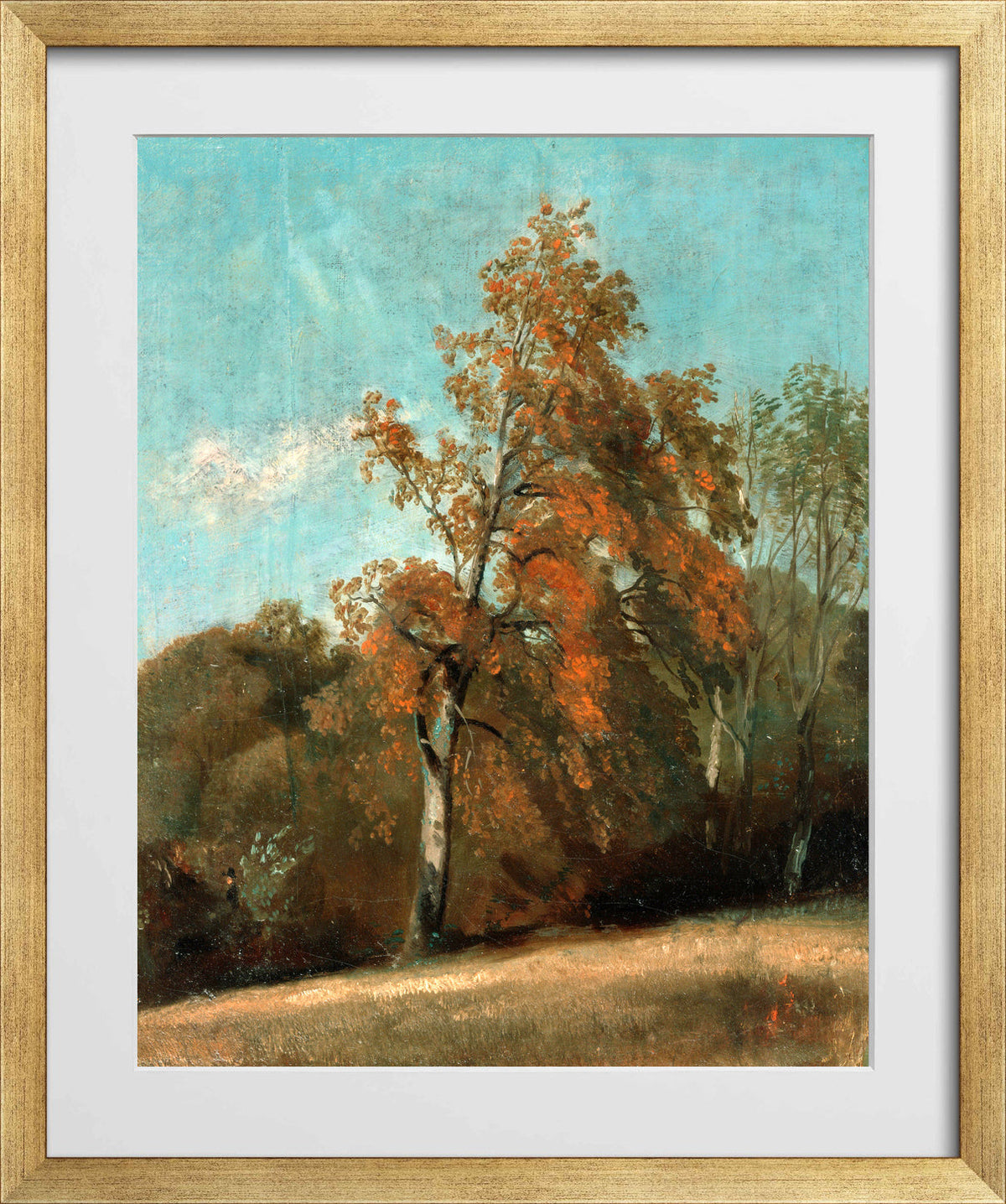 John Constable Print, Study of an Ash Tree (1801-1803) in a gold frame