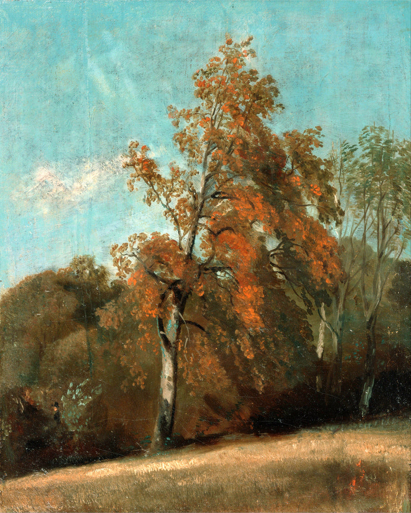 John Constable Print, Study of an Ash Tree (1801-1803) as an unframed print