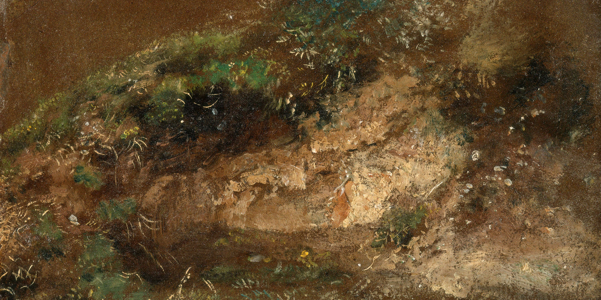 John Constable Print, Undergrowth (ca as an unframed print