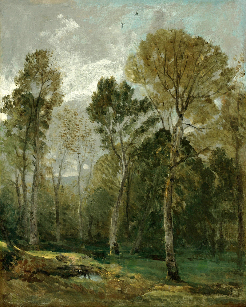 John Constable Print, View Of A Copse as an unframed print
