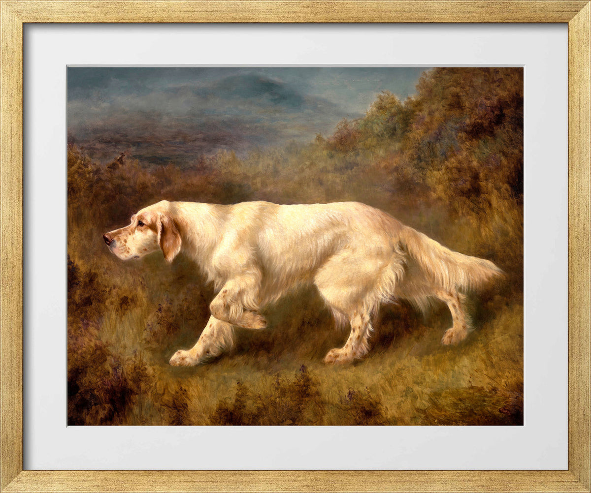 Thomas Blinks Print, Mallwyd Ned in a gold frame