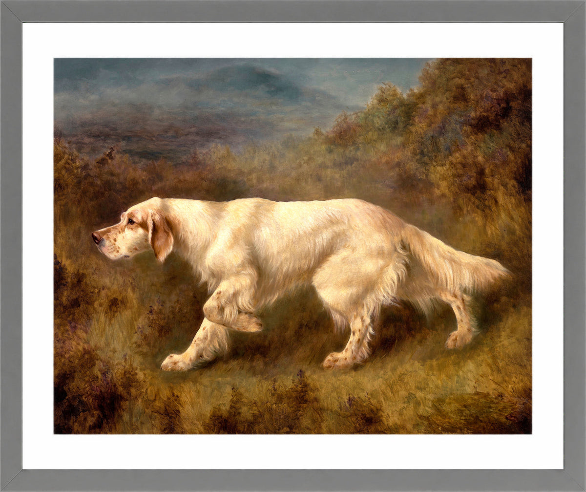 Thomas Blinks Print, Mallwyd Ned in a light grey frame