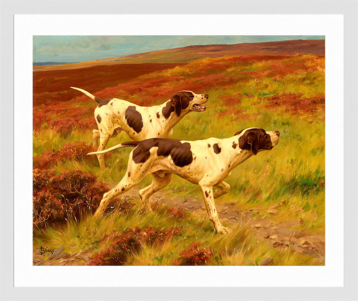 Thomas Blinks Print, Two pointers in the heather in a white frame