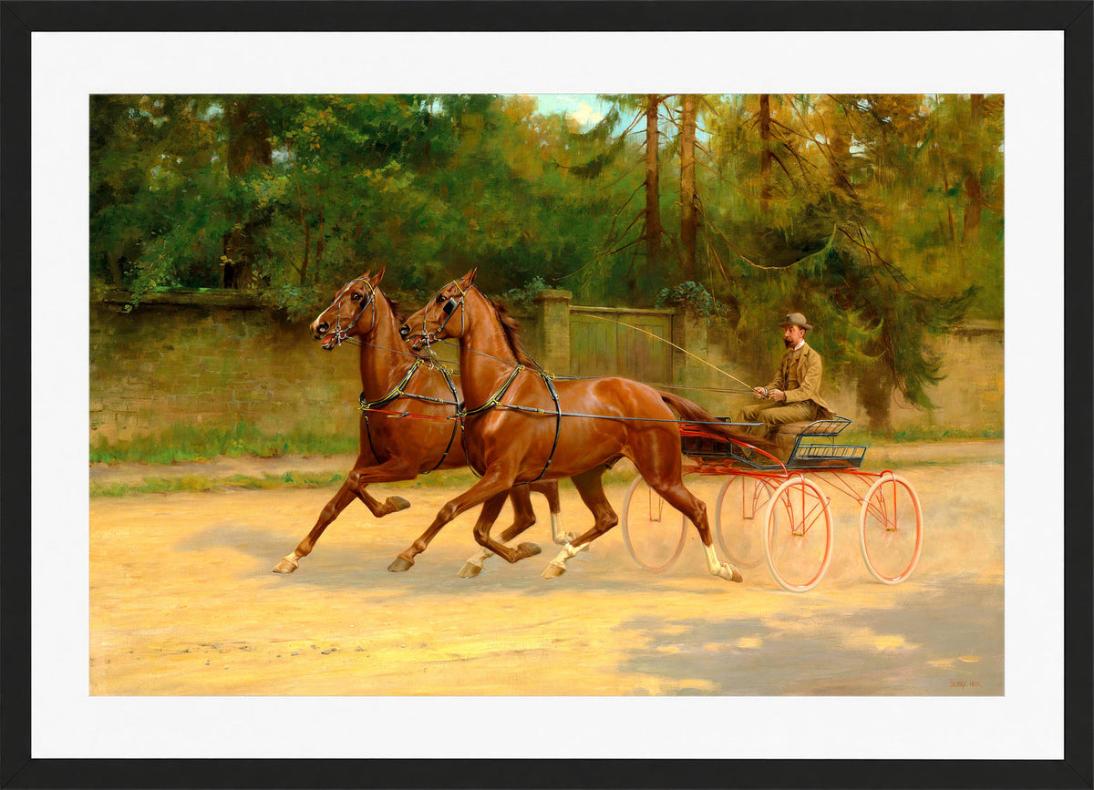Thomas Blinks Print, Walter Winans driving a carriage (1900) in a black frame
