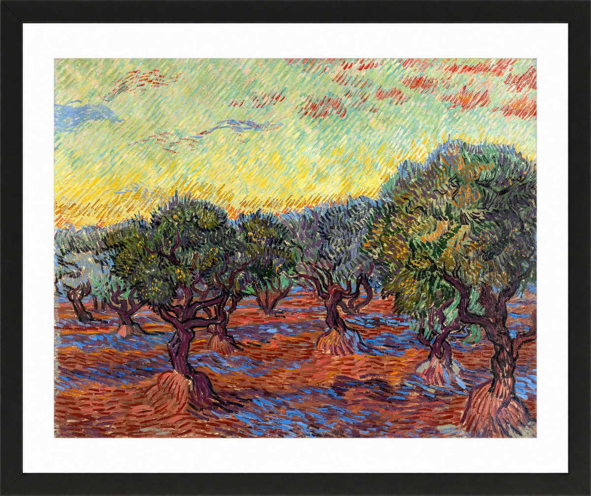 Vincent van Gogh Print, 021 Olive Grove, Orange Sky_10x8 in a black frame