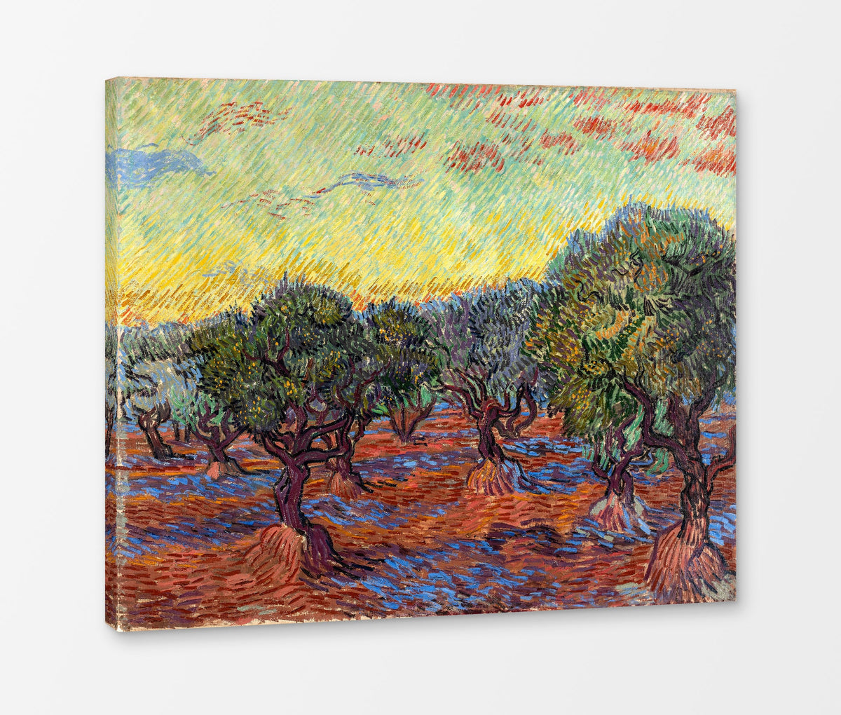 Vincent van Gogh Print, 021 Olive Grove, Orange Sky_10x8 as a ready-to-hang canvas panel