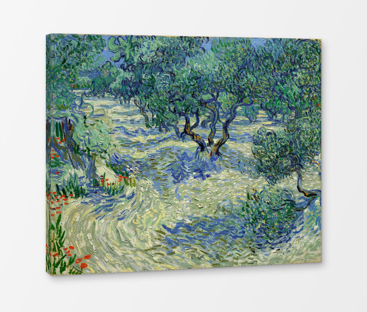 Vincent van Gogh Print, 022 Olive Orchard (June)_10x8 as a ready-to-hang canvas panel