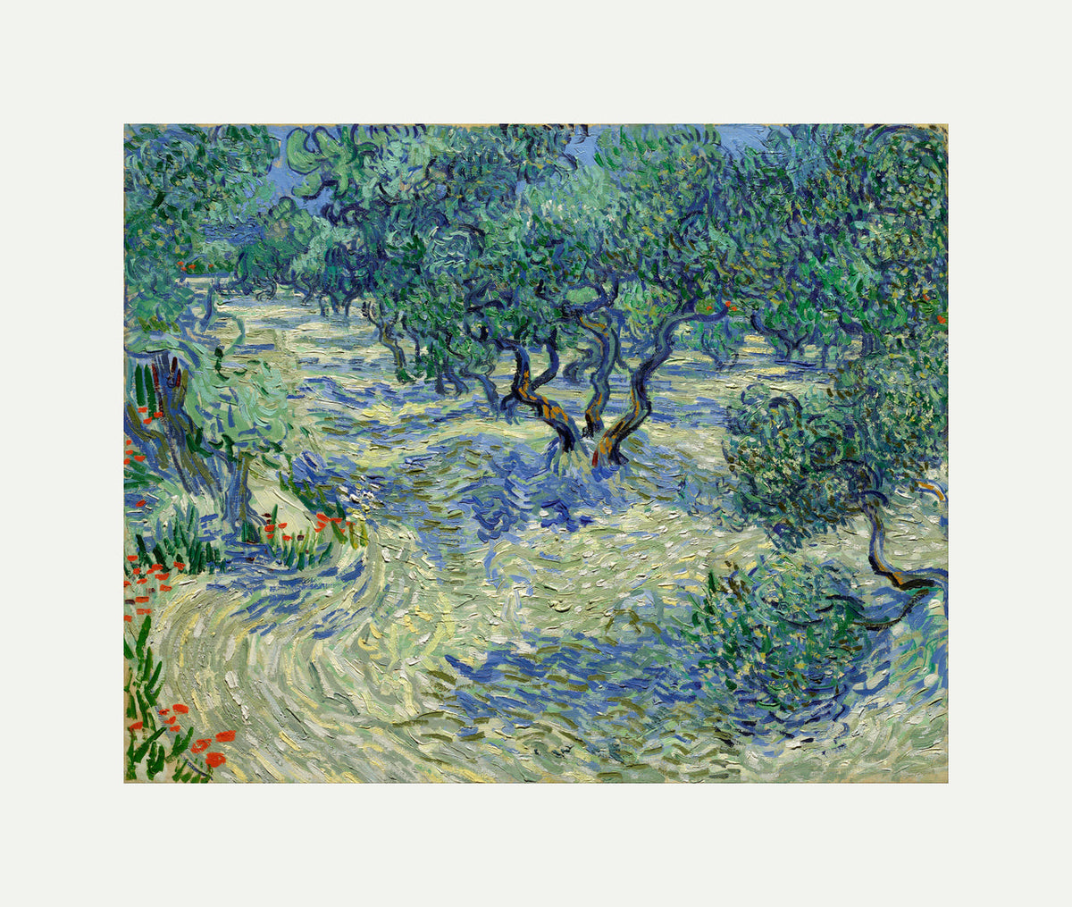Vincent van Gogh Print, 022 Olive Orchard (June)_10x8 with an off-white border for rolled canvas