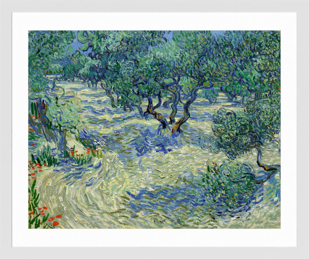 Vincent van Gogh Print, 022 Olive Orchard (June)_10x8 in a white frame