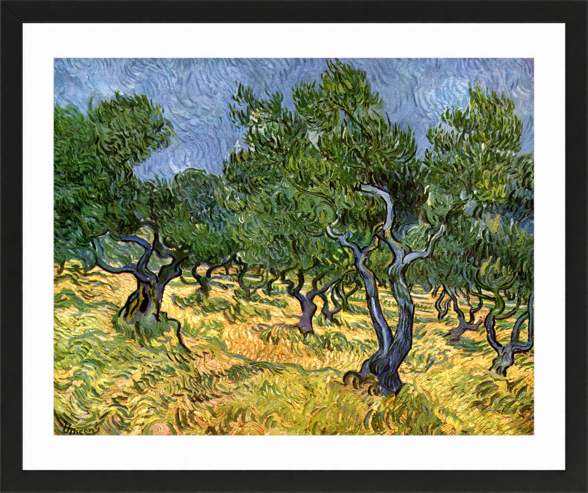 Vincent van Gogh Print, 023 Olive Orchard_10x8 in a black frame