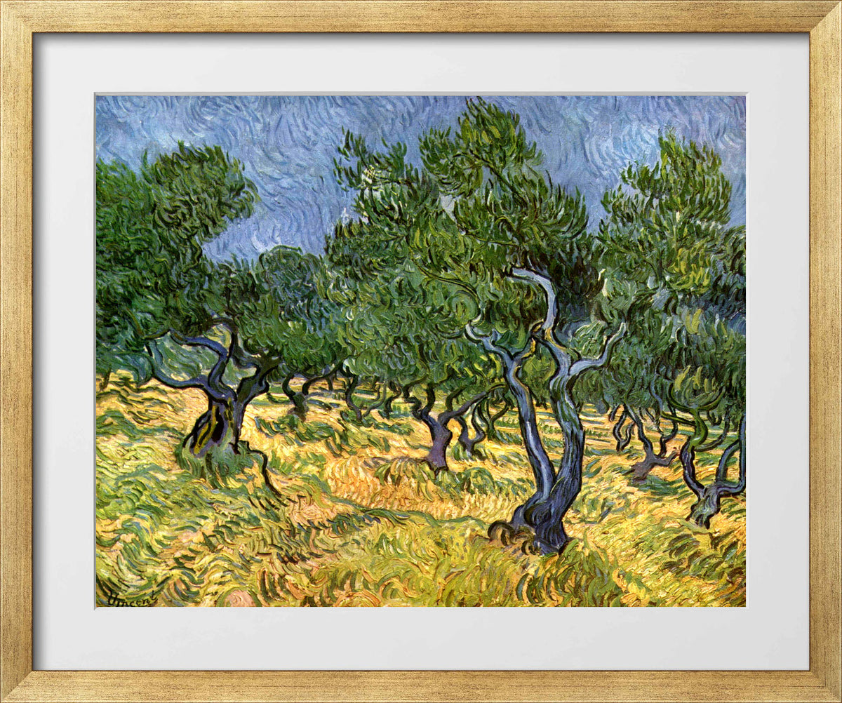 Vincent van Gogh Print, 023 Olive Orchard_10x8 in a gold frame
