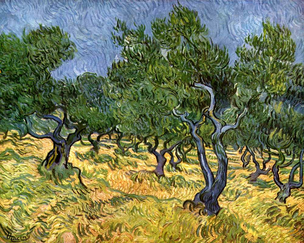 Vincent van Gogh Print, 023 Olive Orchard_10x8 as an unframed print