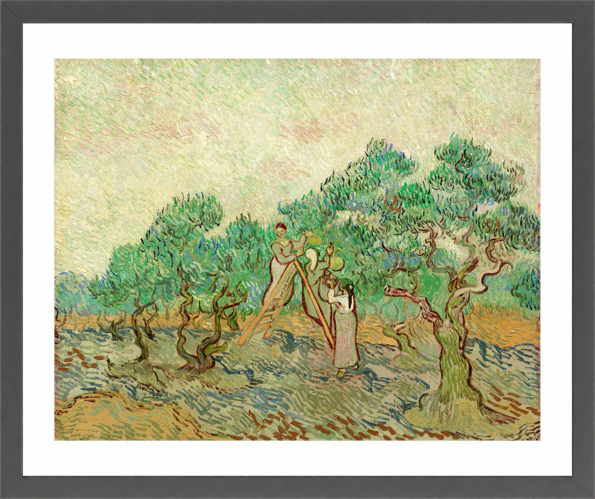 Vincent van Gogh Print, 024 Olive Pickers_10x8 in a dark grey frame