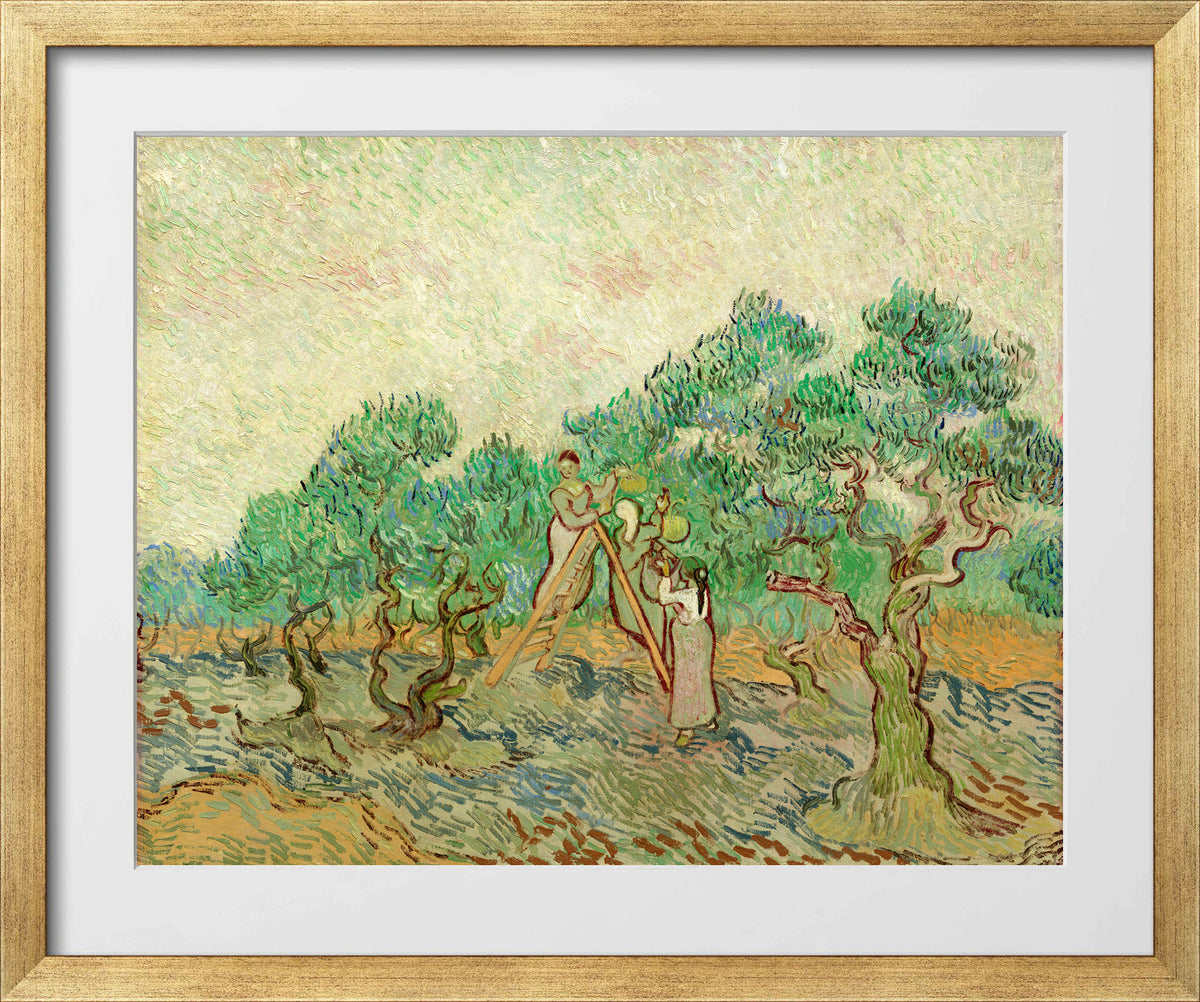 Vincent van Gogh Print, 024 Olive Pickers_10x8 in a gold frame