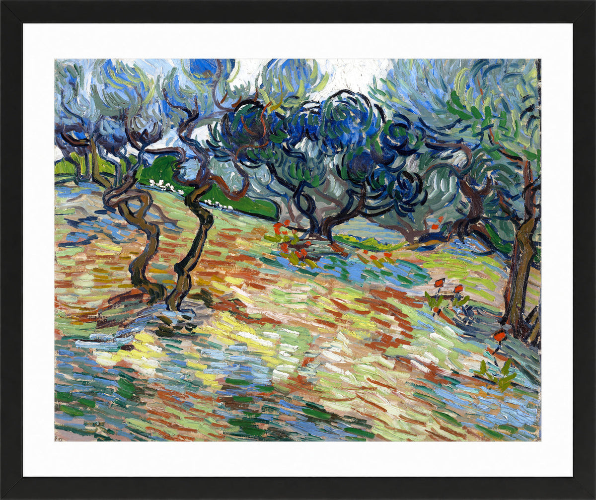 Vincent van Gogh Print, 025 Olive Trees (September 1889)_10x8 in a black frame