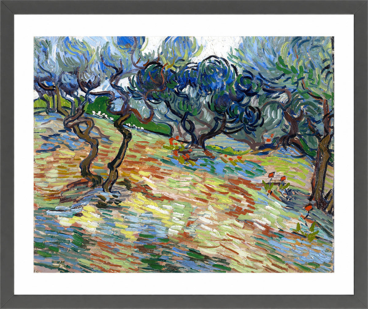 Vincent van Gogh Print, 025 Olive Trees (September 1889)_10x8 in a dark grey frame