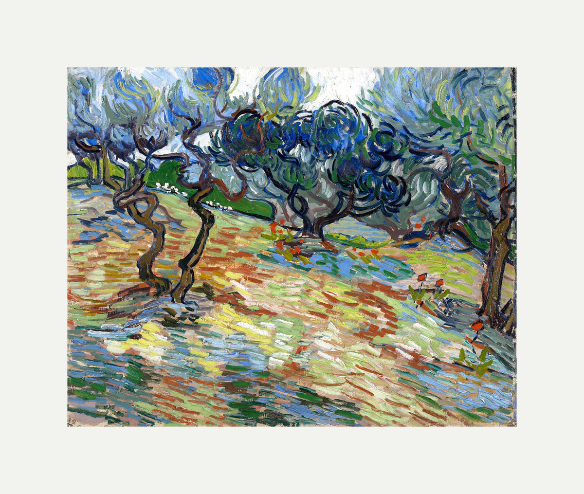 Vincent van Gogh Print, 025 Olive Trees (September 1889)_10x8 with an off-white border for rolled canvas