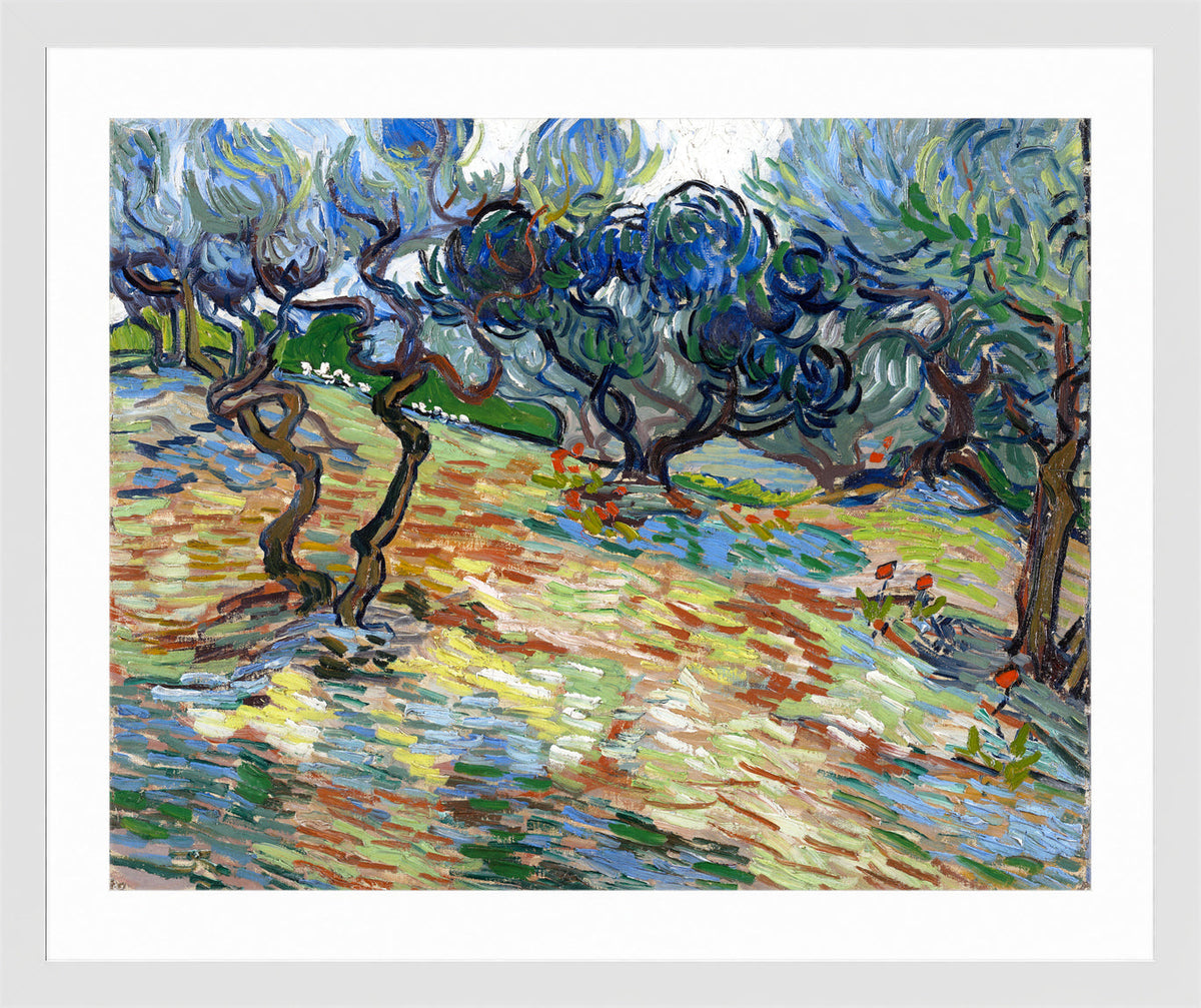 Vincent van Gogh Print, 025 Olive Trees (September 1889)_10x8 in a white frame