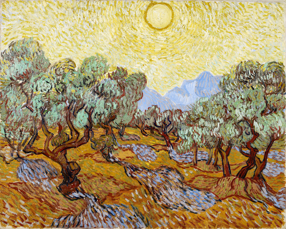Vincent van Gogh Print, 027 Olive Trees with Yellow Sky and Sun_10x8 as an unframed print