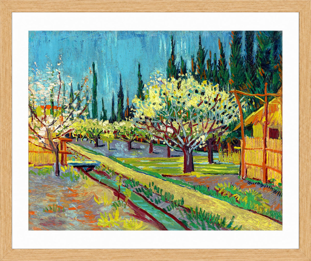 Vincent van Gogh Print, 102 Orchard Bordered by Cypresses_10x8 in an oak frame