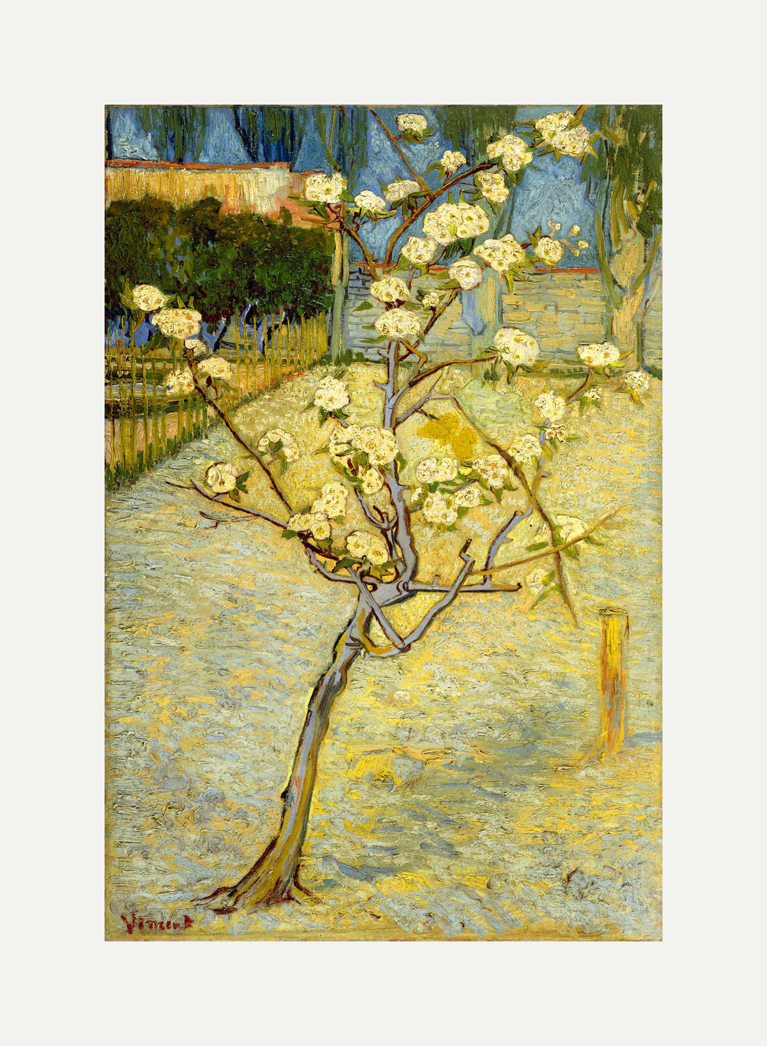 Vincent van Gogh Print, 118 Small pear tree in blossom (1888)_12x8 with an off-white border for rolled canvas