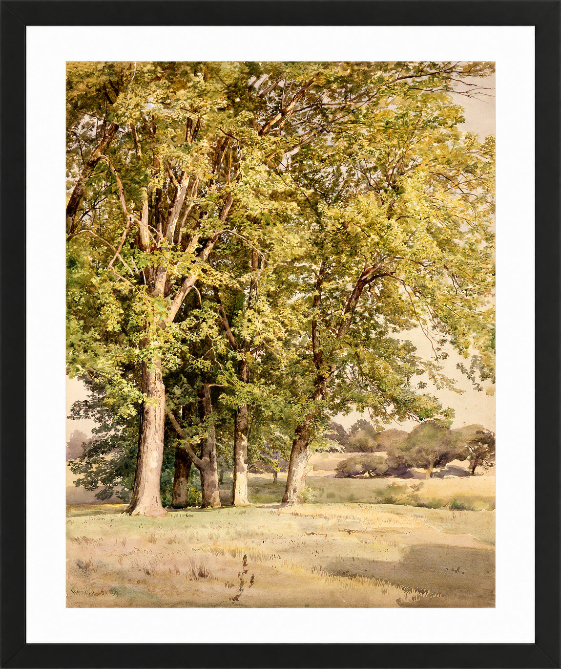 William Trost Richards Print, Maples in Chester County, Pennsylvania (1889) in a black frame