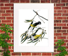 Prothonotary Warbler Illustration Print Vintage Bird Sketch Art 0405