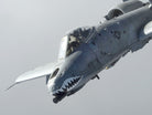 Photographic Art Print, A-10 Thunderbolt II aircraft