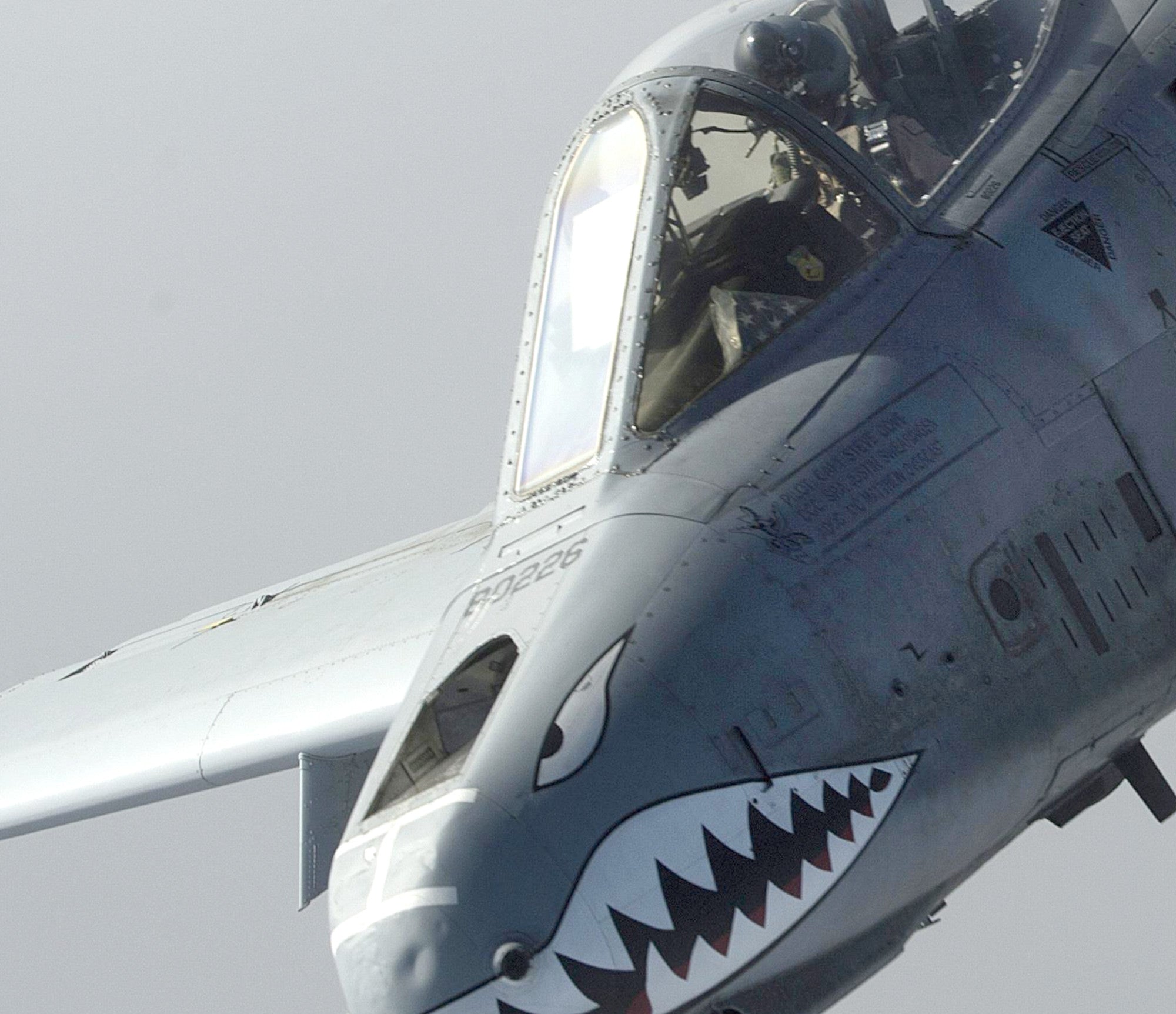 Photographic Art Print, A-10 Thunderbolt II aircraft