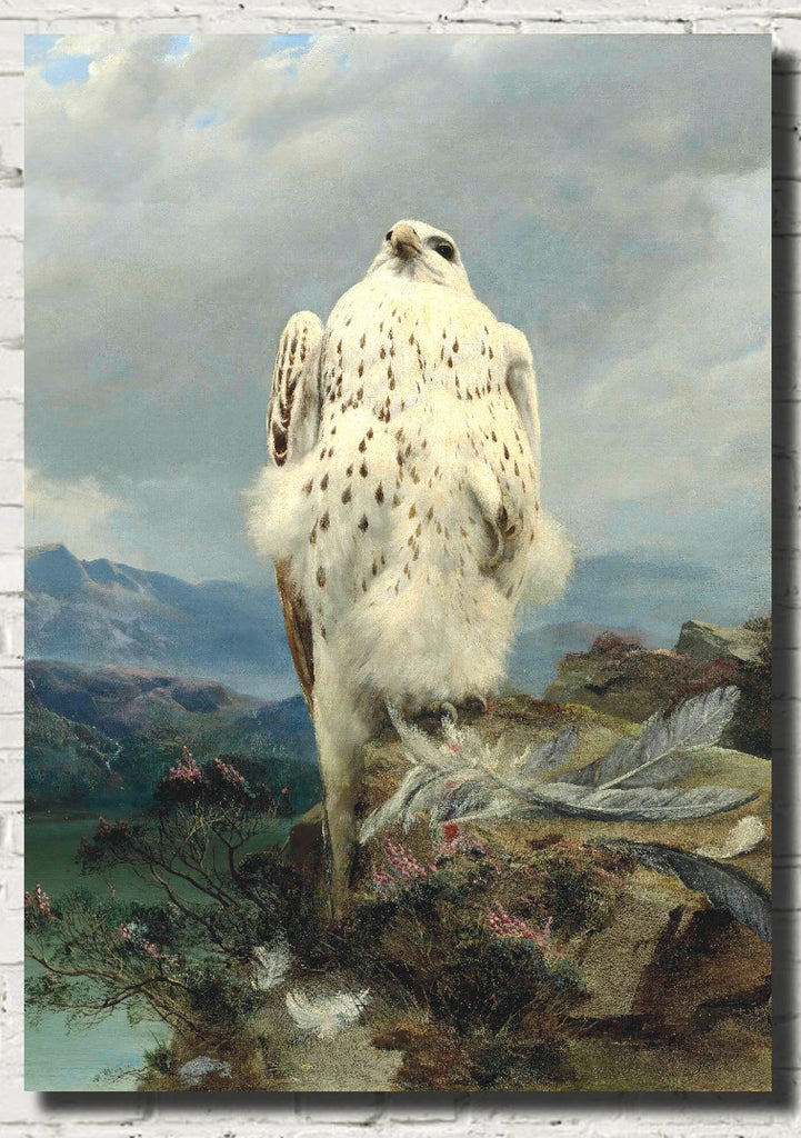A Gyrfalcon In An Extensive Mountainous Landscape, Joseph Wolf Print