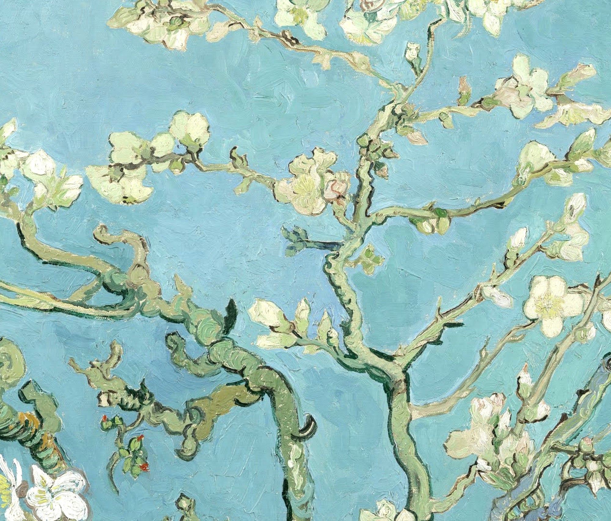 Vincent Van Gogh Fine Art Print, Almond Blossom