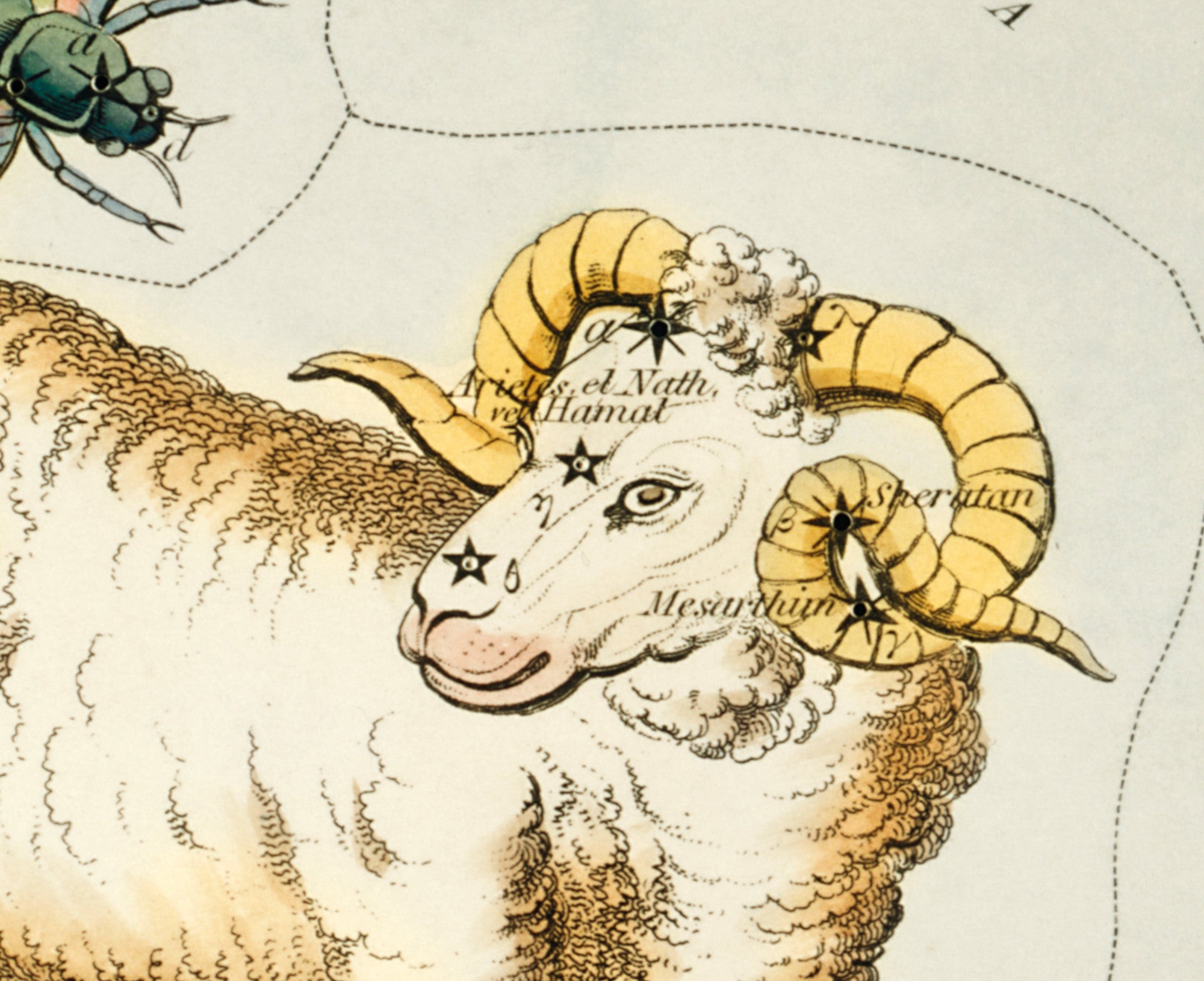 Aries and Musca Borealis, Sidney Hall Costellations Print