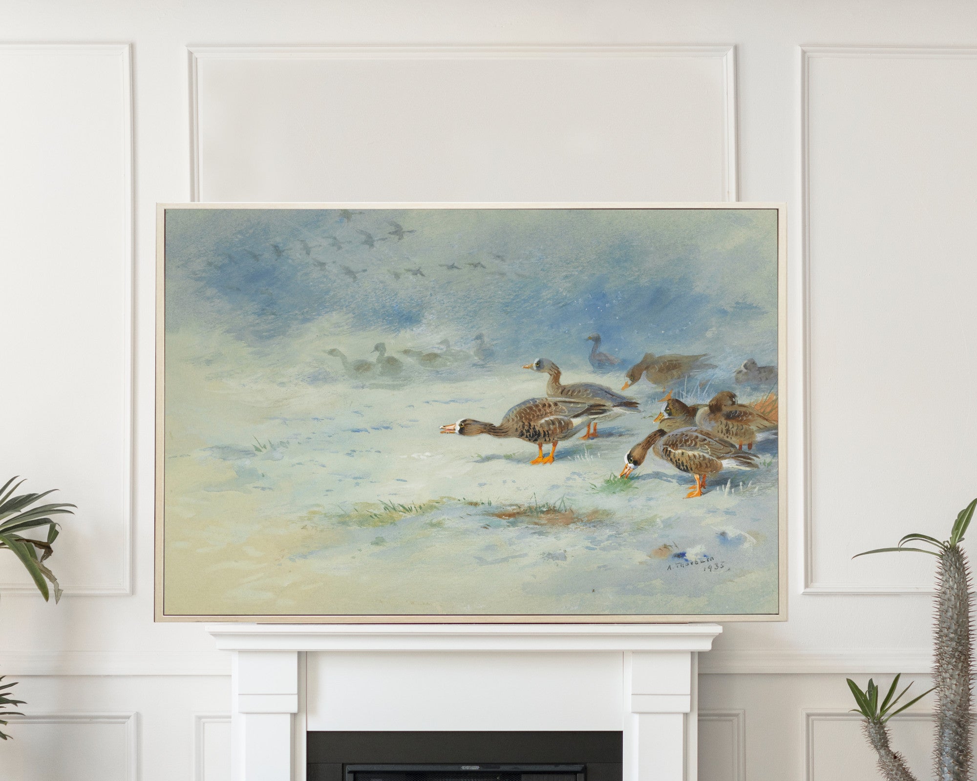 Barnacle Geese, Archibald Thorburn, Birds Print