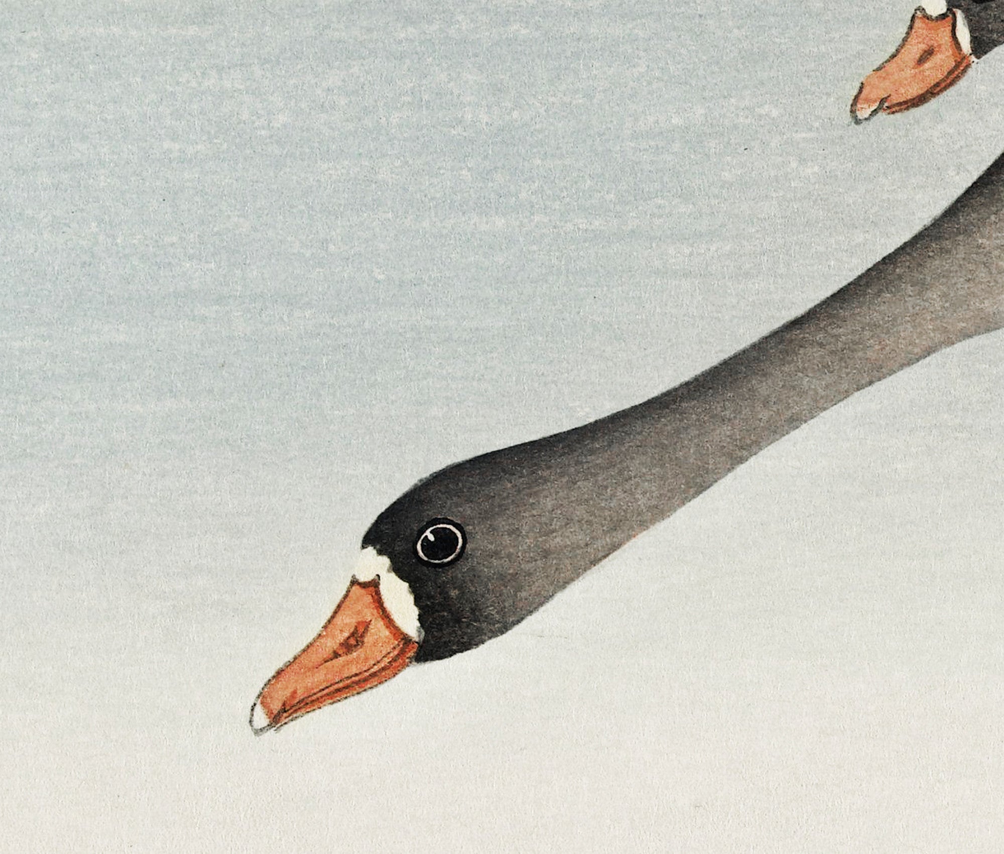 Birds at Full Moon Japanese Fine Art Print, Ohara Koson - GalleryThane.com