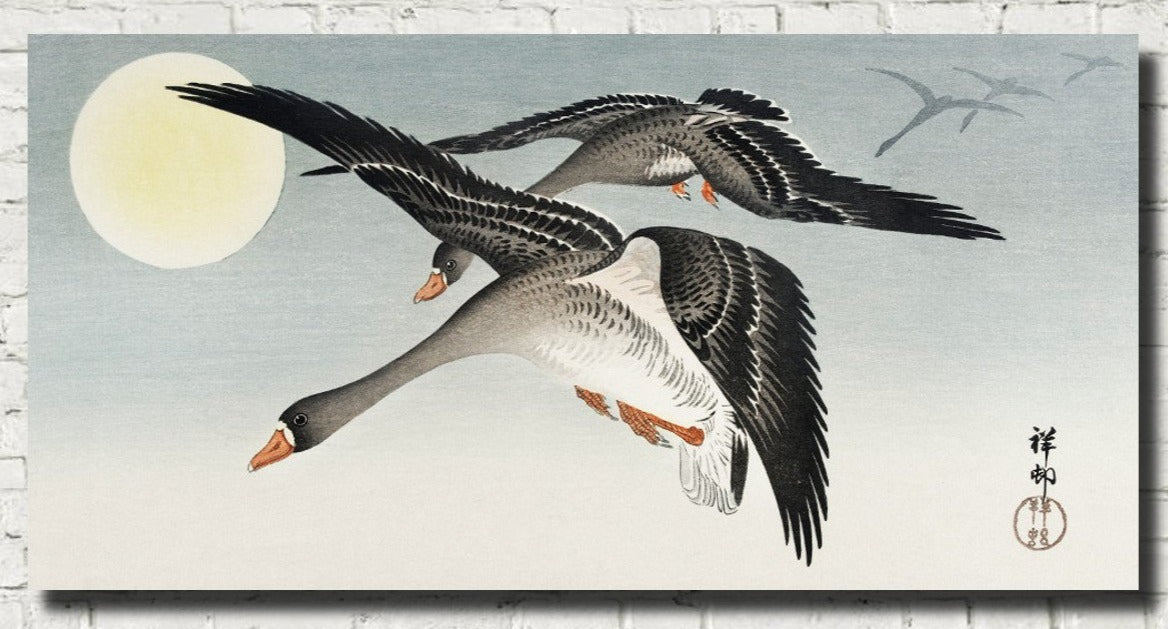 Birds at Full Moon Japanese Fine Art Print, Ohara Koson - GalleryThane.com
