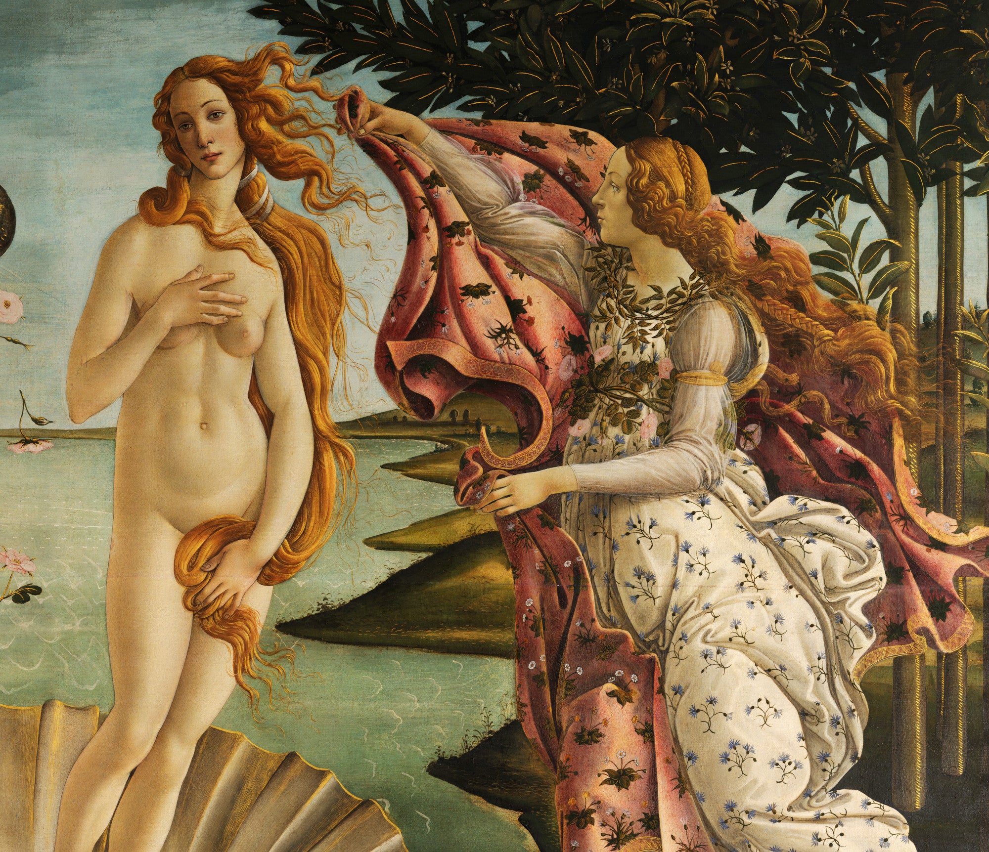 Sandro Botticelli Fine Art Print : Birth of Venus