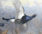 Blackcock And Grouse In Flight – Winter, Archibald Thorburn, Birds Print