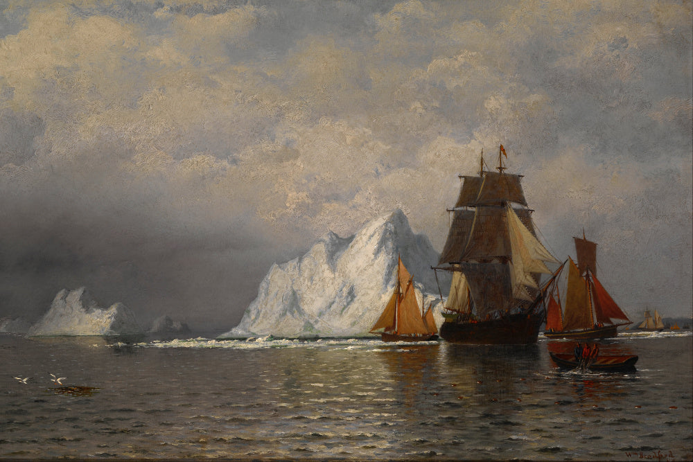 William Bradford Fine Art Print : Whaler