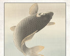 Ohara Koson Japanese Fine Art Print,  Carp