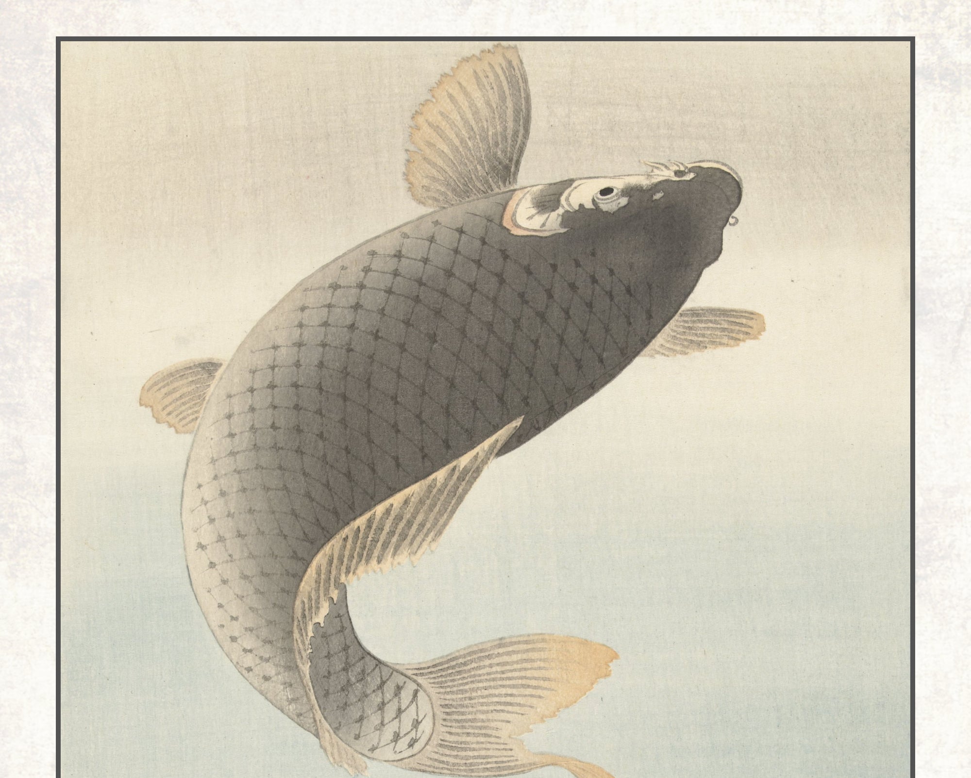 Ohara Koson Japanese Fine Art Print,  Carp