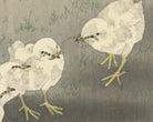 Ohara Koson Japanese Fine Art Print,  Chicks and Worm
