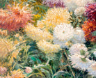 Gustave Caillebotte Fine Art Print : Chrysanthemums in the Garden at Petit–Gennevilliers