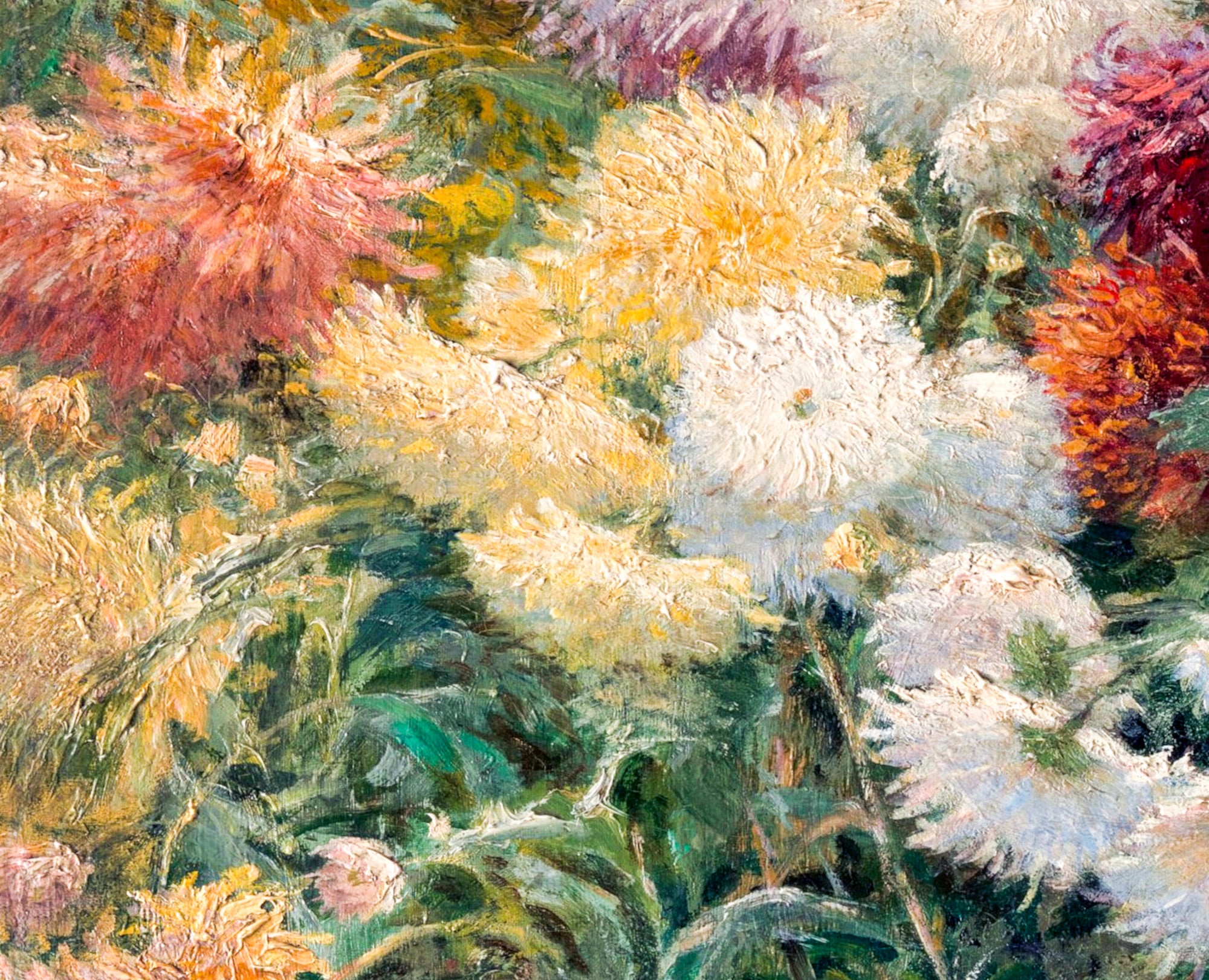 Gustave Caillebotte Fine Art Print : Chrysanthemums in the Garden at Petit–Gennevilliers