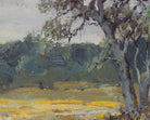 Julian Onderdonk Fine Art Print, Coreopsis, Near San Antonio, Texas