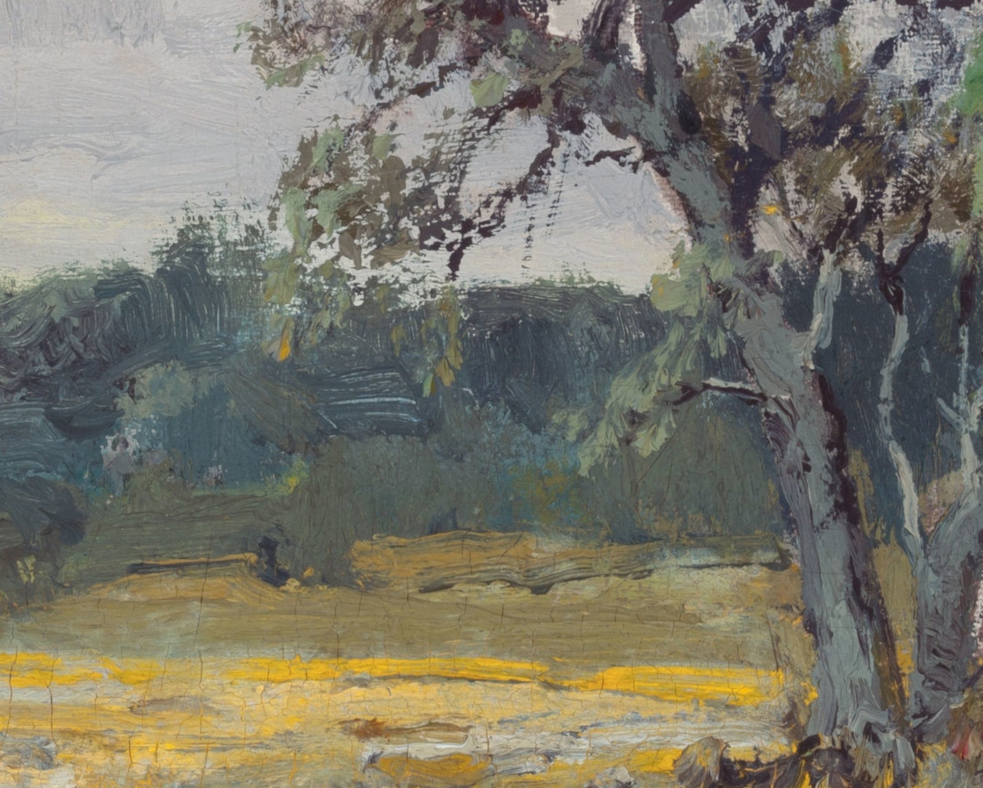 Julian Onderdonk Fine Art Print, Coreopsis, Near San Antonio, Texas