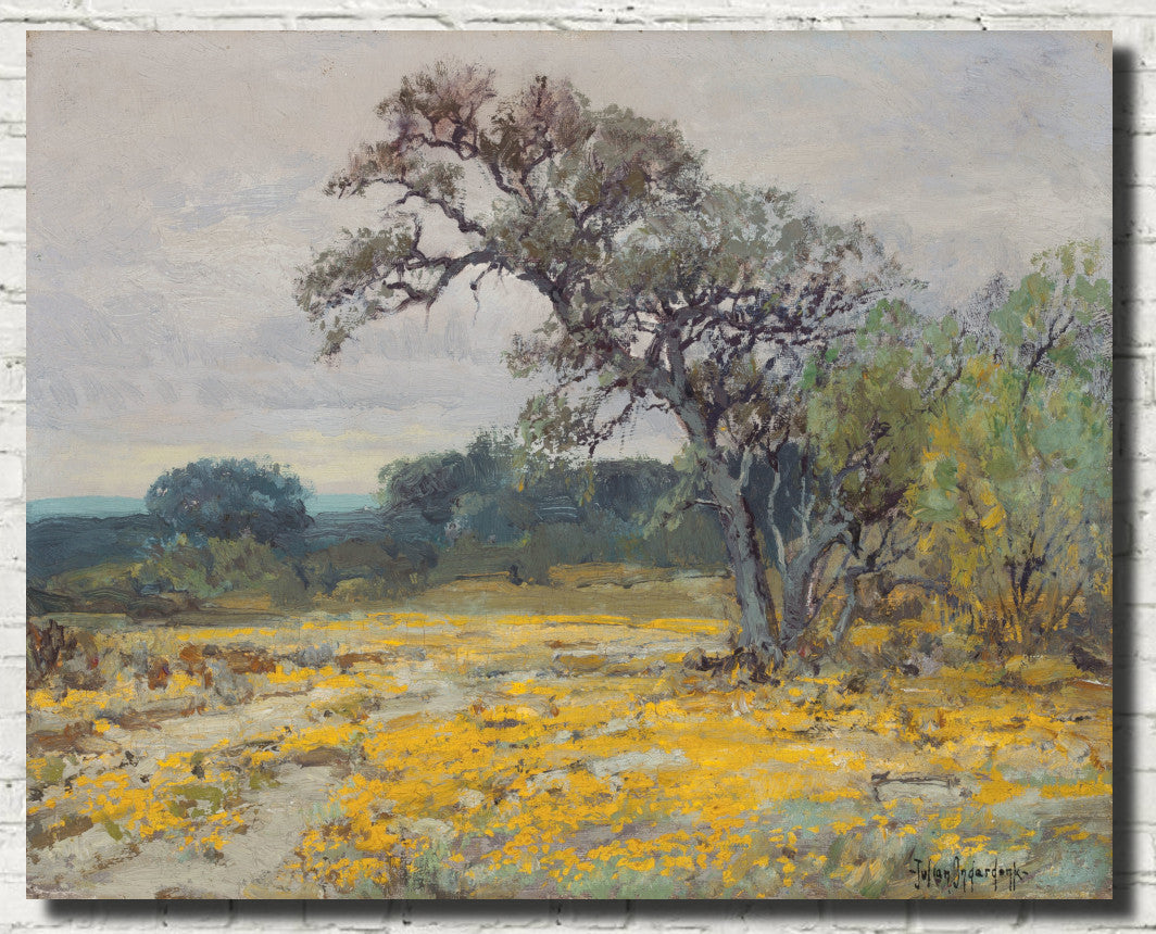 Julian Onderdonk Fine Art Print, Coreopsis, Near San Antonio, Texas