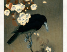 Ohara Koson Japanese Fine Art Print, Crow and Blosom